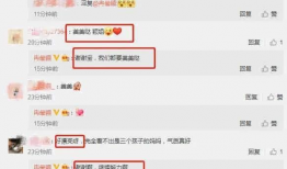 娱乐圈吃瓜爆料表格,揭秘明星背后的故事与真相